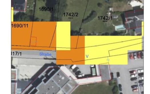 Geogene_Gefahrenhinweiskarte_GstNr_1742_2_Kopie