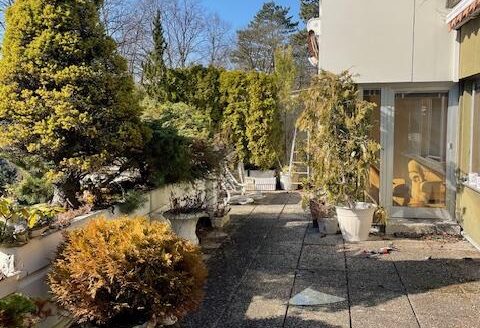 großzügige Terrassenwohnung in Traumlage von Neuwaldegg