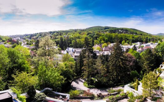 großzügige Terrassenwohnung in Traumlage von Neuwaldegg