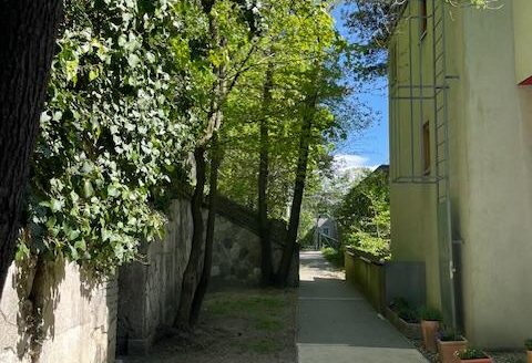 Unknown-9