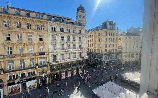 IMG_2446_1